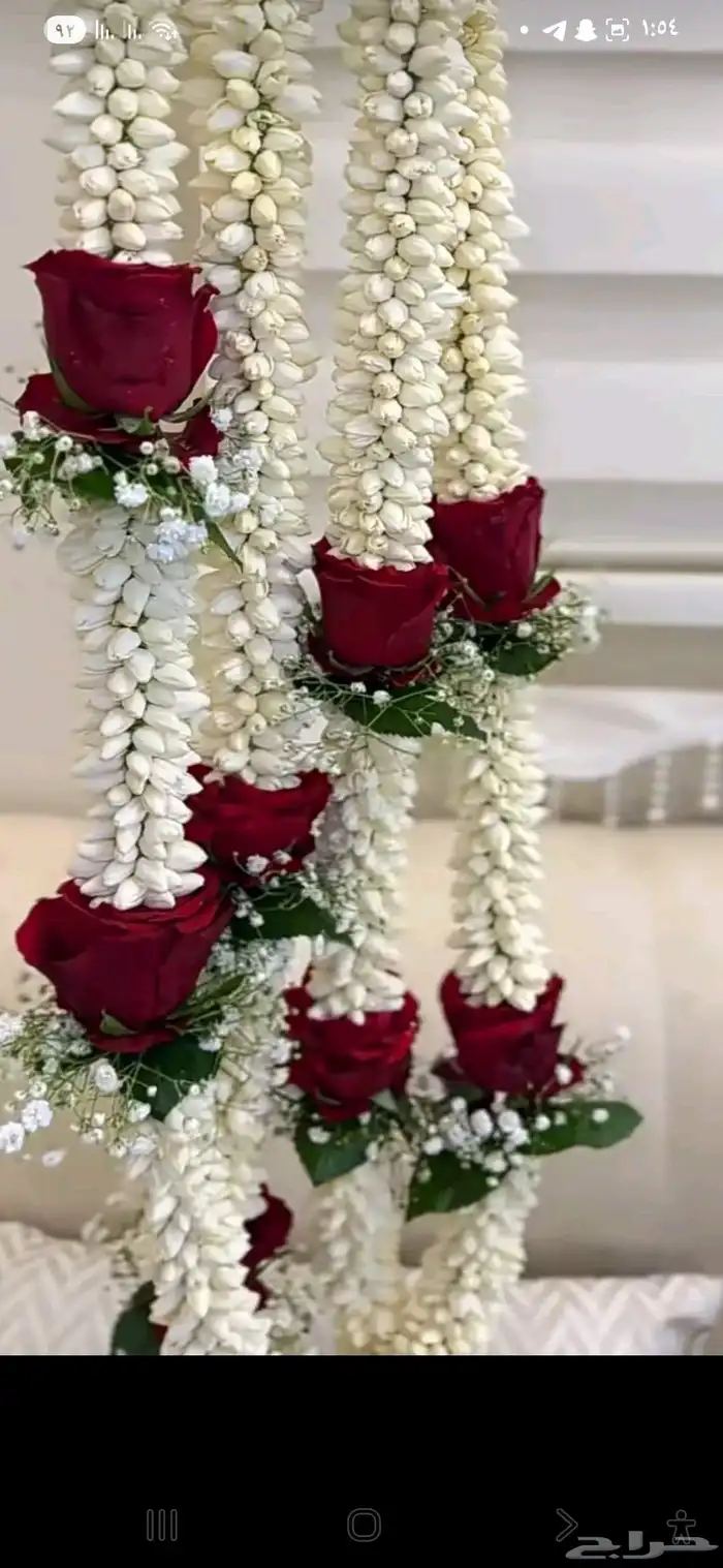 عقود الفل بي أشكالها حي الصفا 3