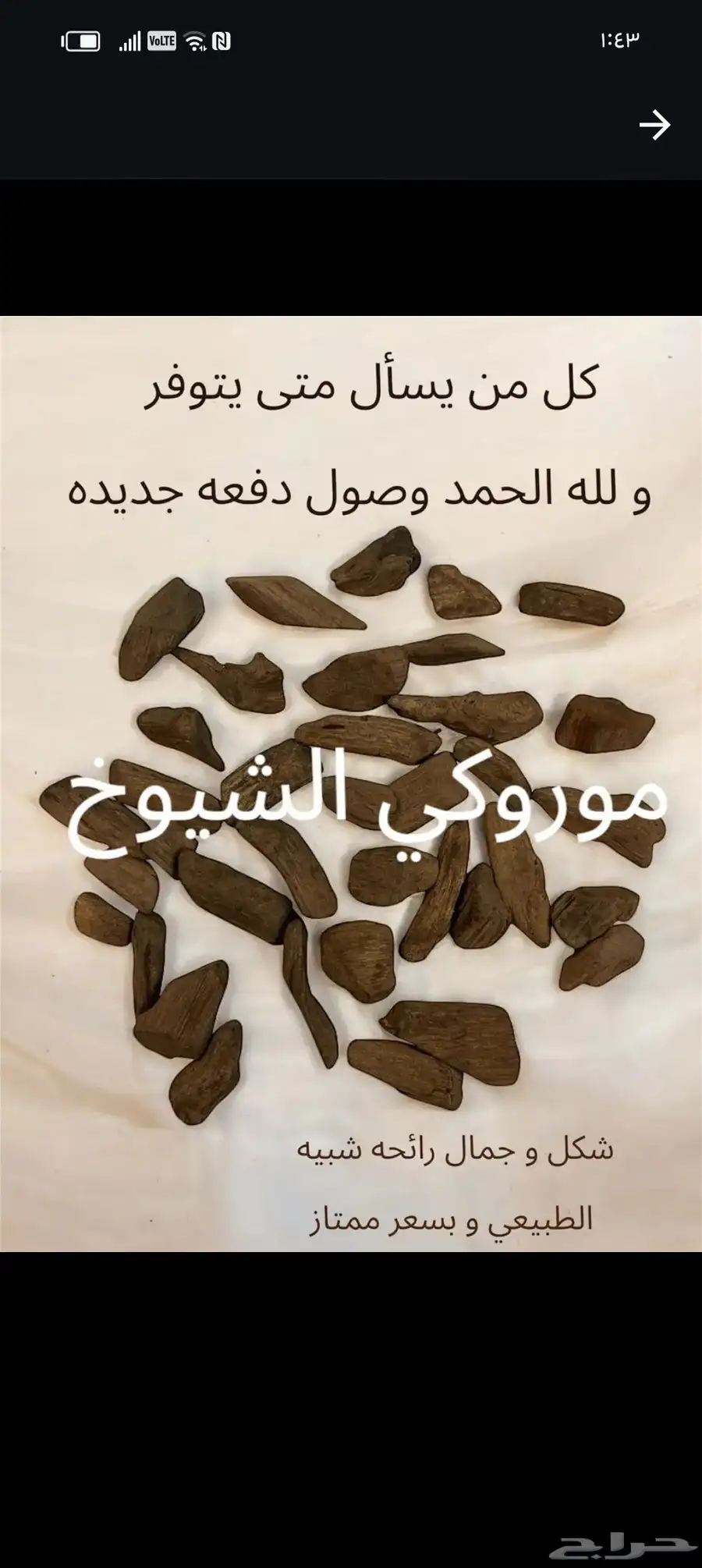 عود مروكي والكلمنتان التايقر بأسعار مناسبة 7