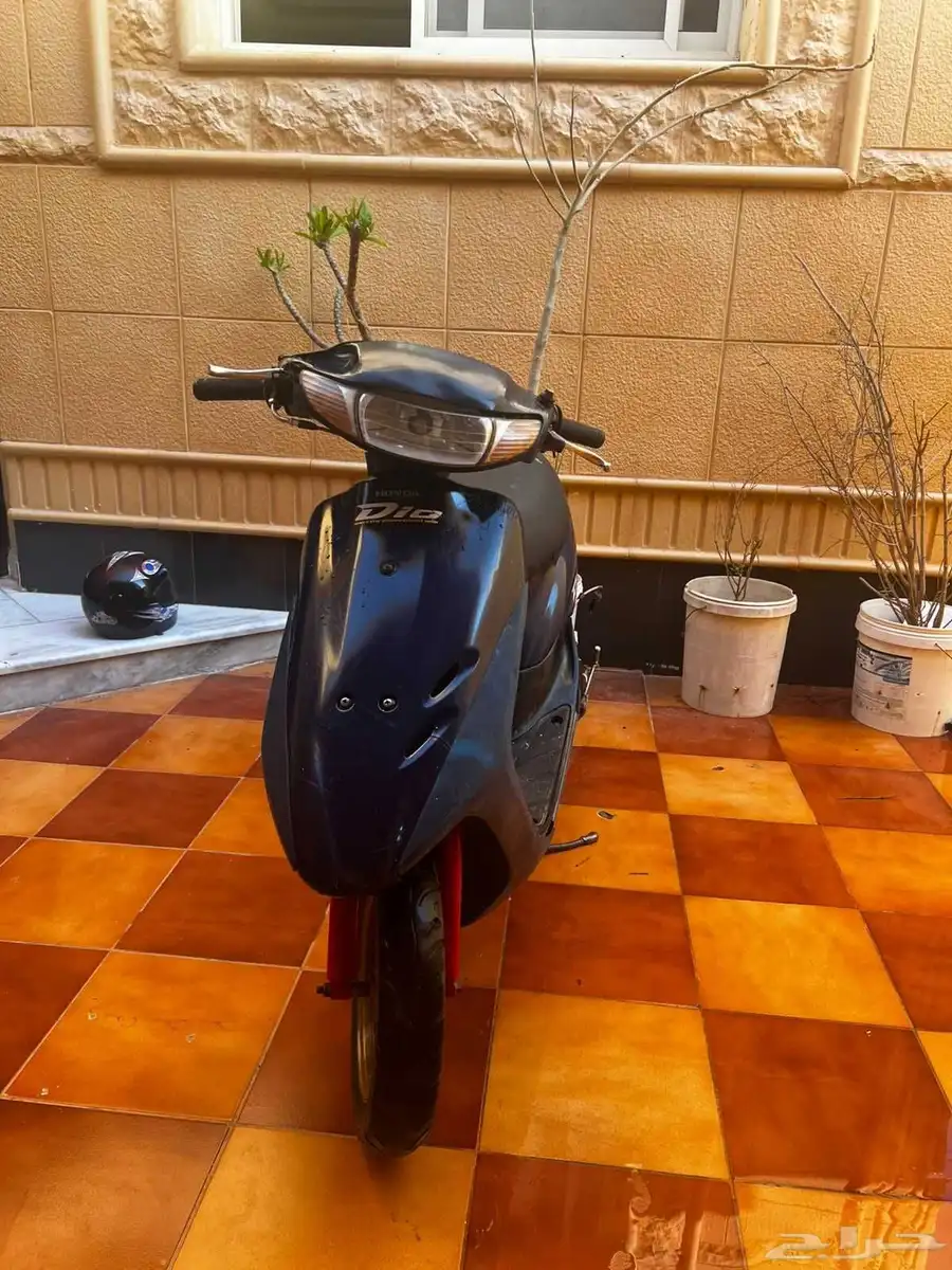 دباب بطه للبيع 3