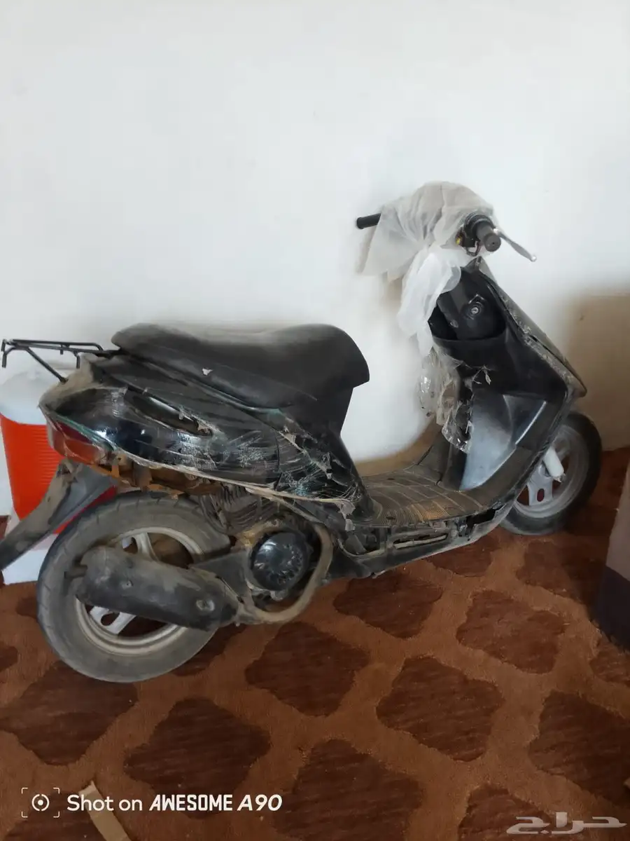 دباب بطه للبيع 2