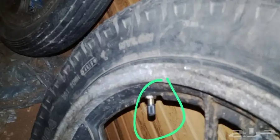 جنوط حق الدباب زلزال نقص الجنض الخلفي رمنت بس ويبيله استايك 2
