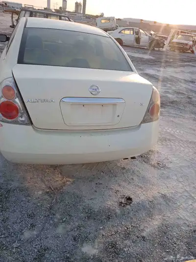 التيما 0