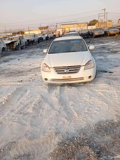 التيما 3