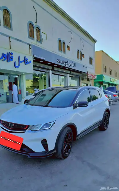 جيلي كولراى 2023 1