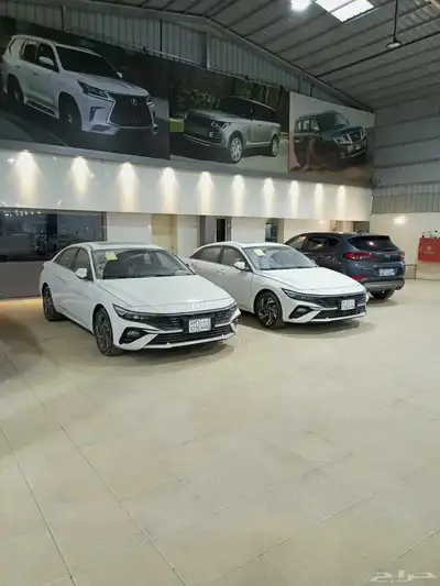 النترا صيني اصفار 2024 3