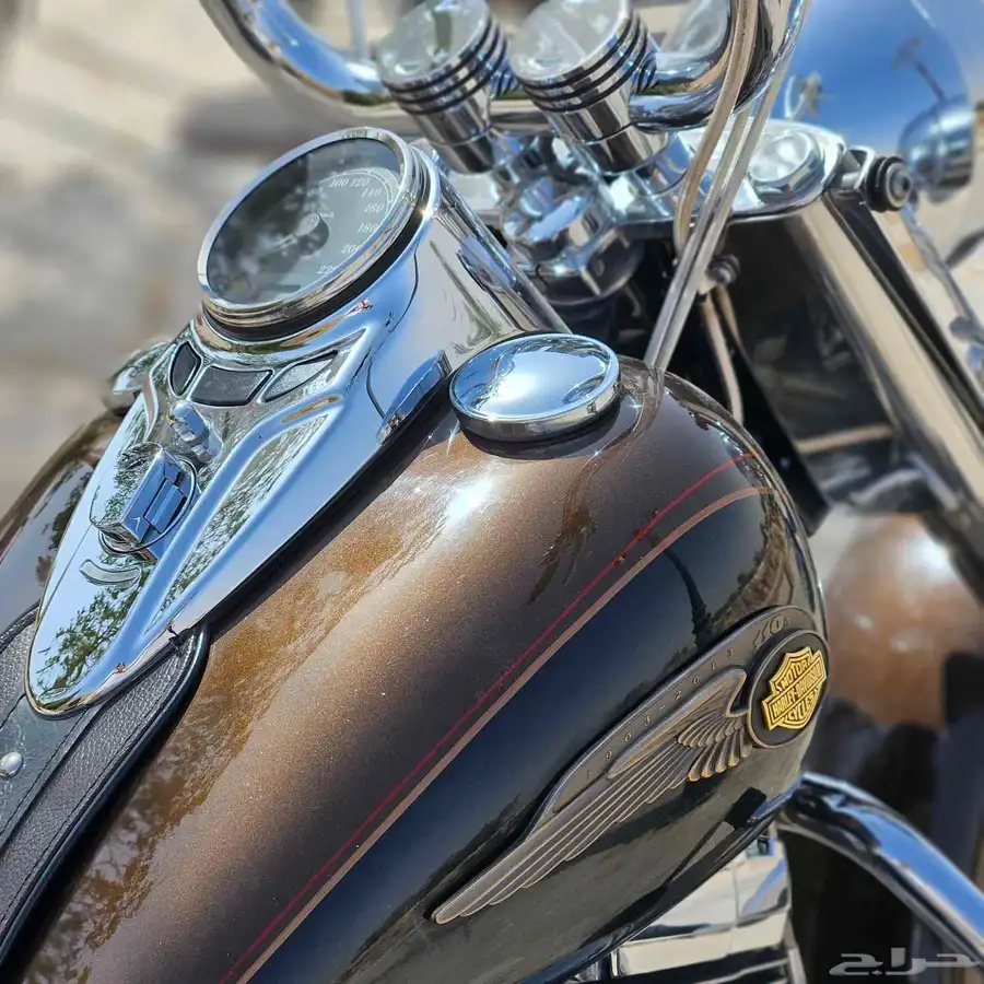هارلي - هيرتج - 2013 - H-D - Heritage index