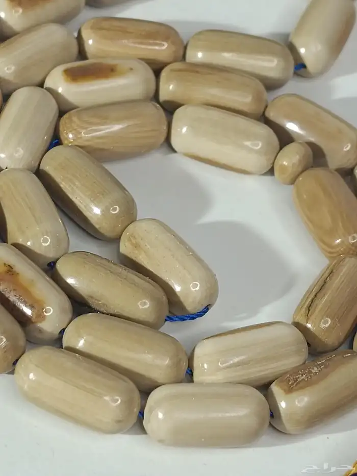 سبحة نوادر ماموث عيون قص صنوبري 3