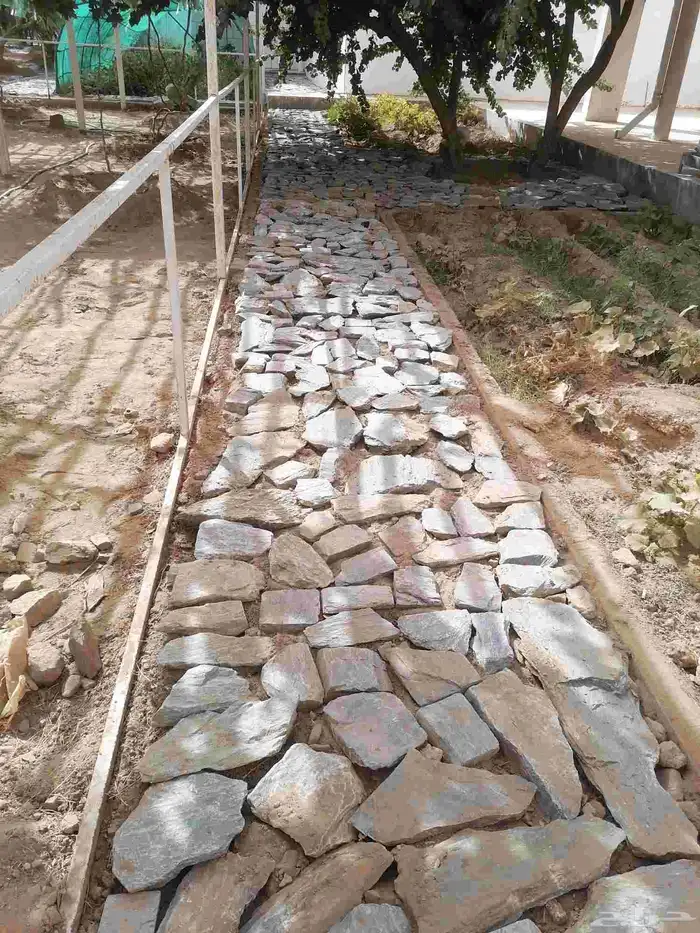 معلم ربراب الباحه 0