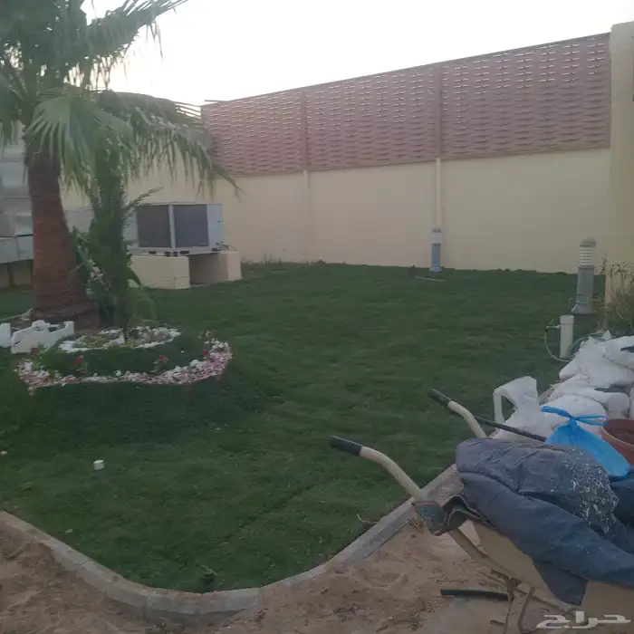 مشتل وادي اراك الزراعة 3