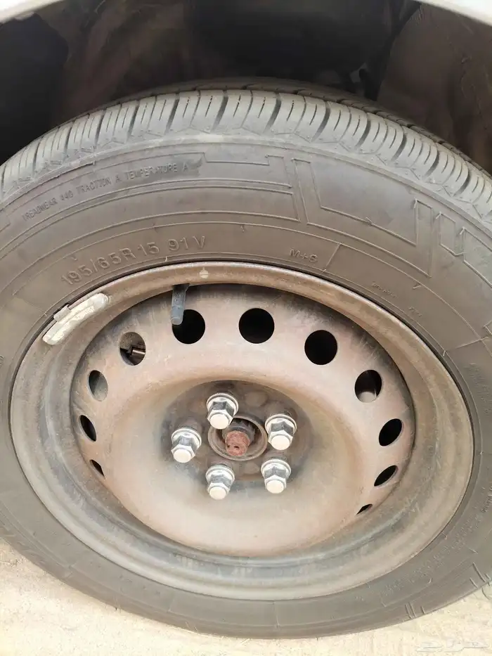 القنفذة القوز جنوط كورلا 0