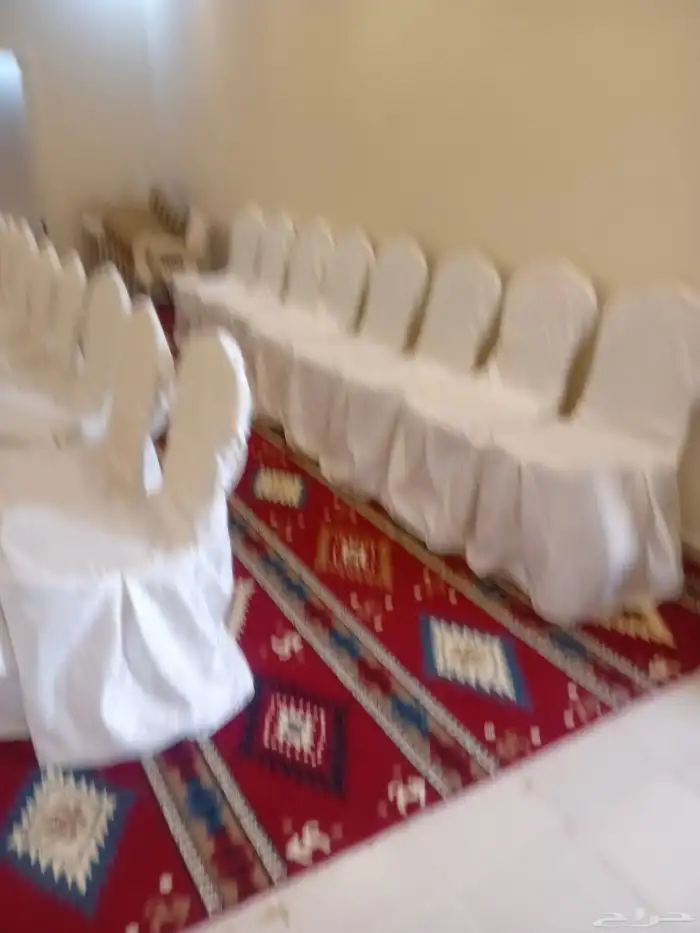 منسق حفلات ومناسبات ولدى رخصه سواقه وابحث عن عمل فالحفلات 1