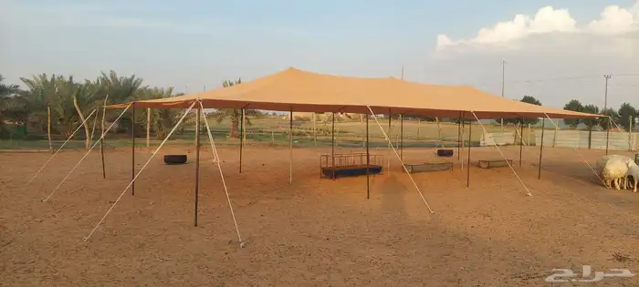 مضلات غنم مضلات سيارات مضلات أبل 9