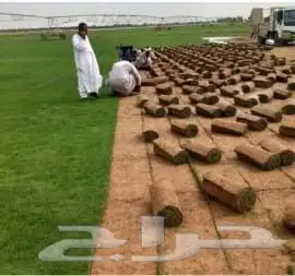 زراعة ثيل طبيعى تمديد شبكات الرى الرياض 8