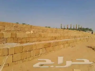 الرياض 9