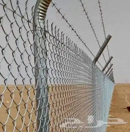 مقول شبوك بجميع انوعها 5