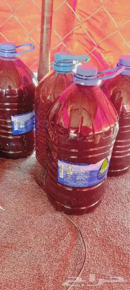 عسل طلح صافي ومضمون سعر الكيلو 150 ريال سعر عبوة 7كيلو 700ري 1