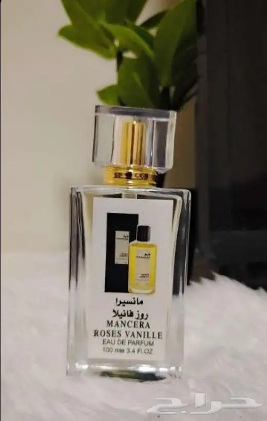 عطور تعبئة ماركات جملة ب 7 ريال فقط اقل طلب كرتونين 120 عطر 20