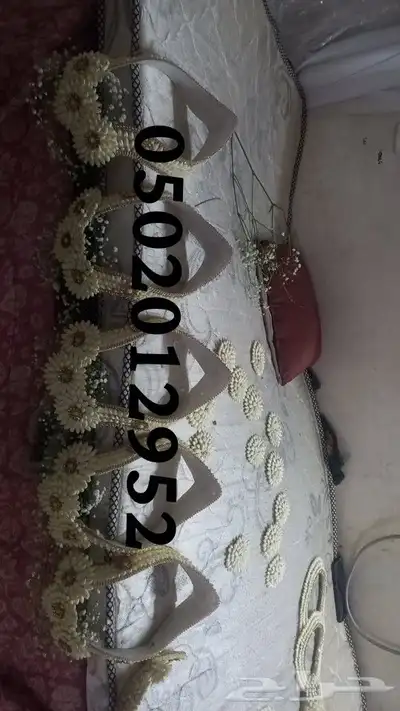 فل صبيا  جيزانيات_جيزانيه_جازان_ابوعريش__صامطة_صامطه_الطوال 3