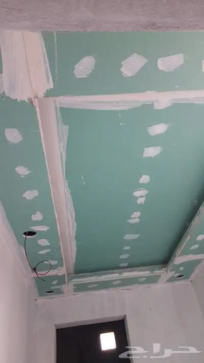 ديكور الجي س جي سم بور  دھانات صبغ 4