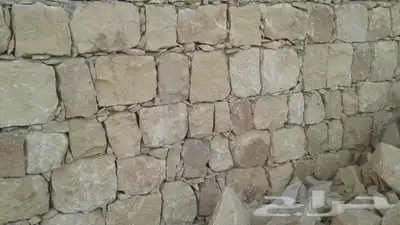 الرياض 5