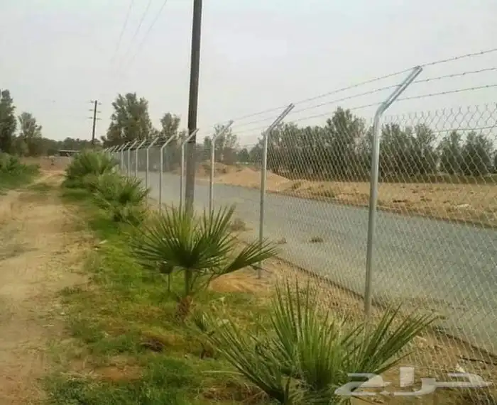 مقول شبوك بجميع انوعها 2