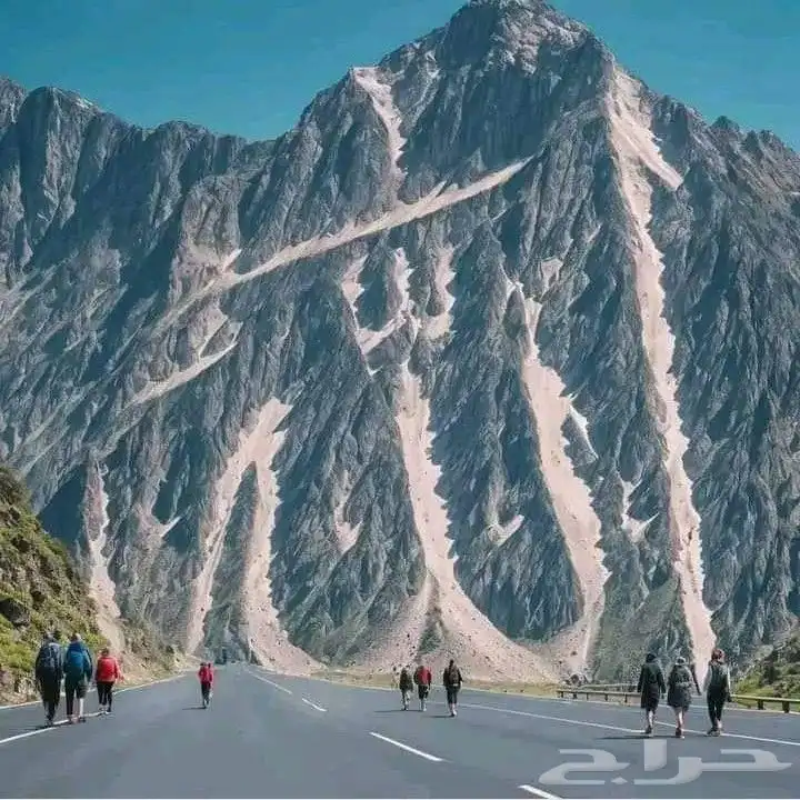 سائق خاص مصري 0
