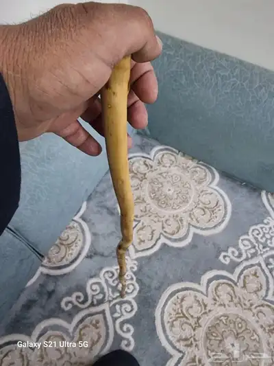 مشعاب عتم ( تم البيع ) 9