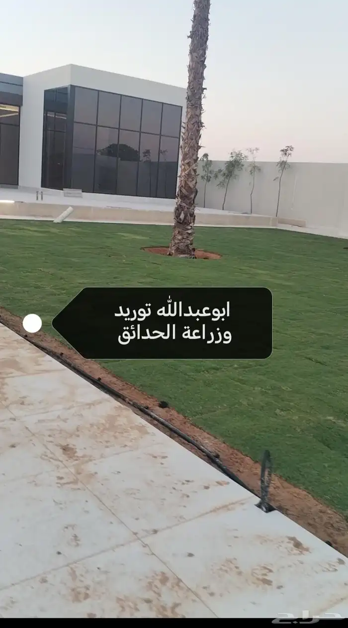 ثيل طبيعي من المزرعه مباشرة توريد الي جميع مناطق المملكة 2