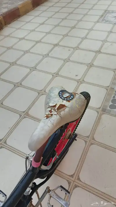 سيكل 3