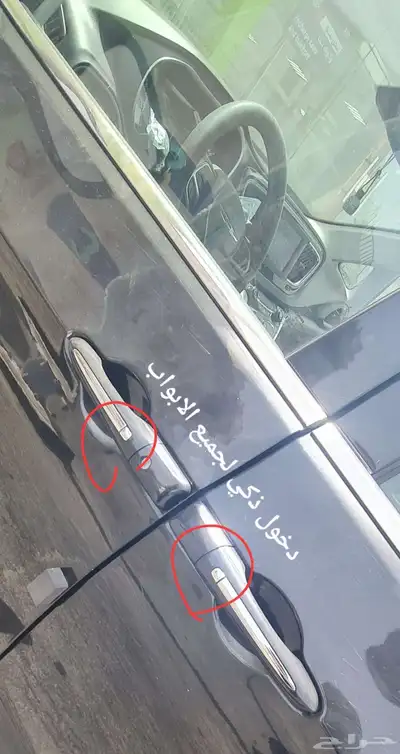 كليزلر باسيفيكا وكاله قمة النظافه 23