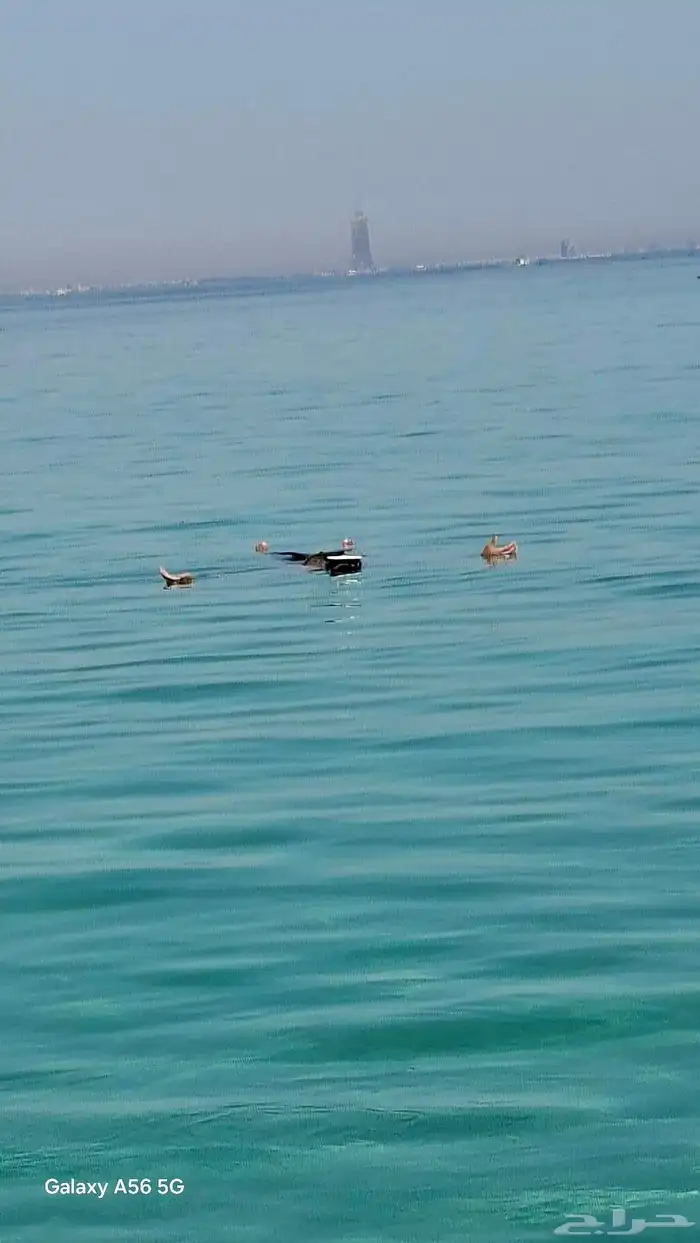 رحلات بحريه 1