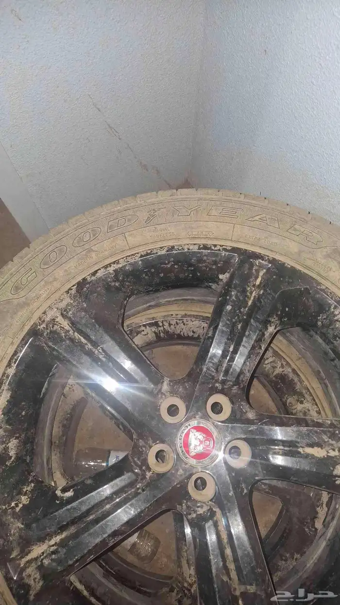 جنوط مستعمله 2