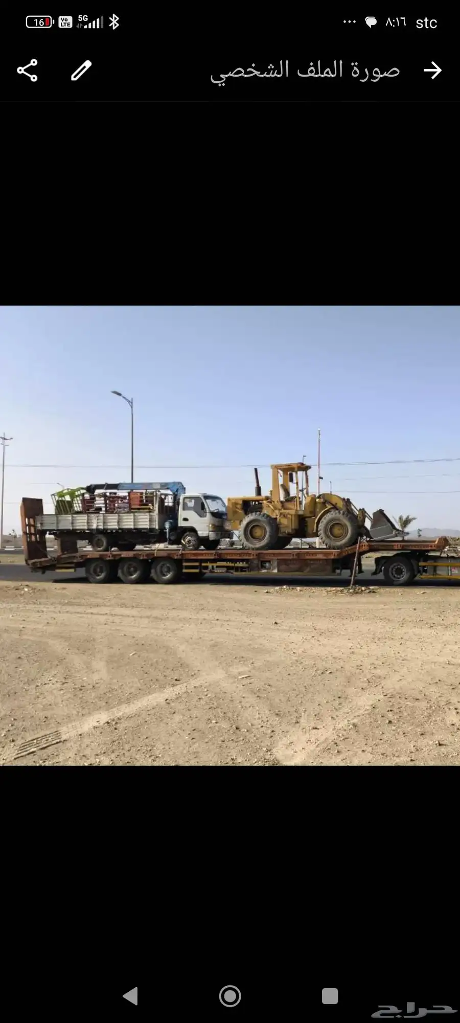 لوبد متواجد في الجنوب 0