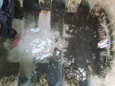 شركة تنظيف خزانات بالدمام مجالس كنب سجاد جلي بلاط شقق فلل 1