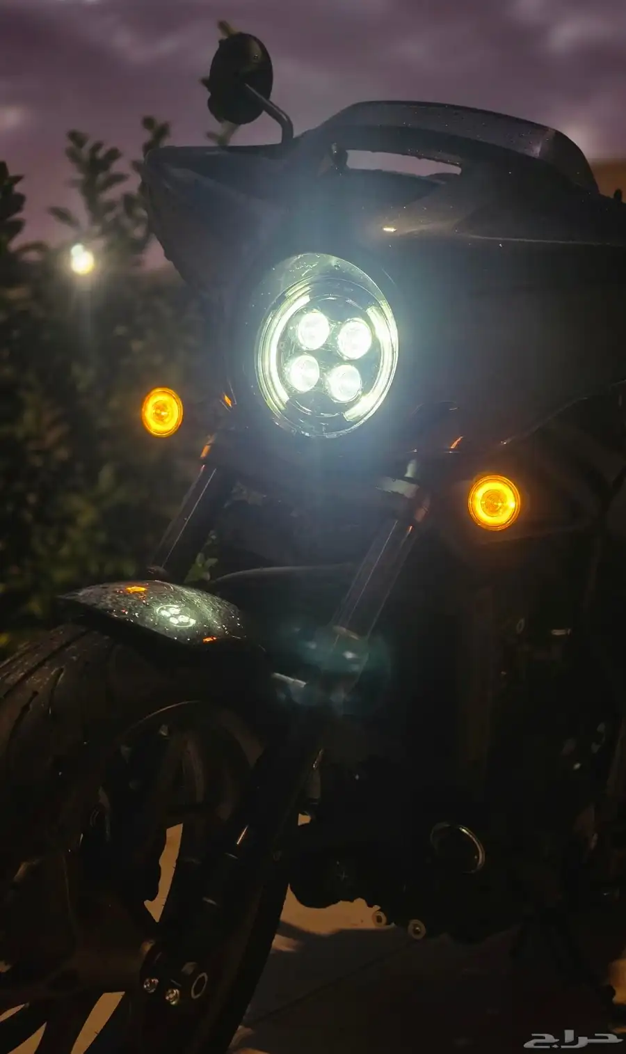 هوندا ريبل 1100cc 2024 T شبه جديد index