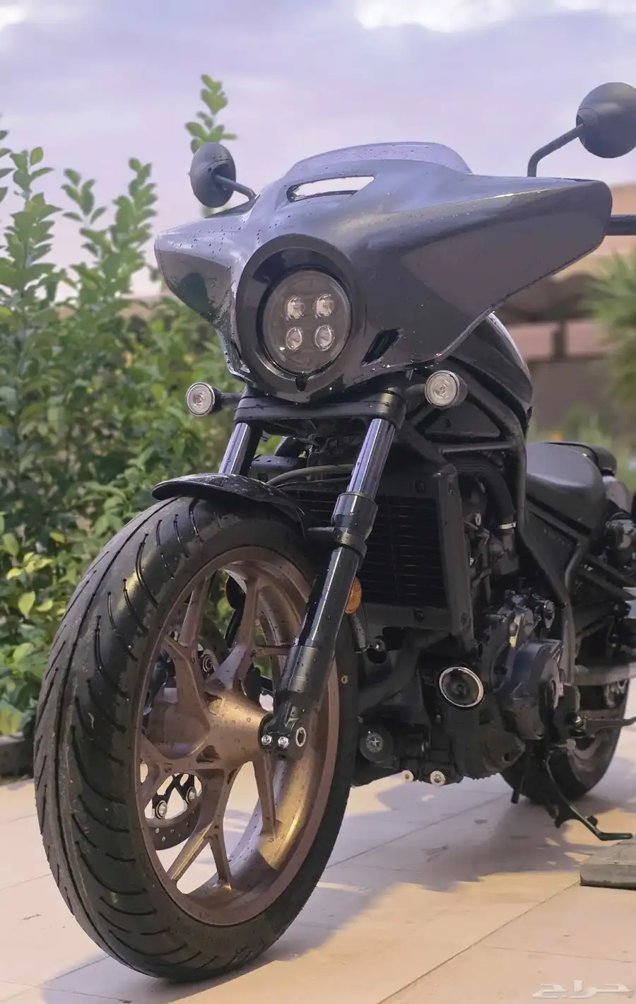 هوندا ريبل 1100cc 2024 T شبه جديد index