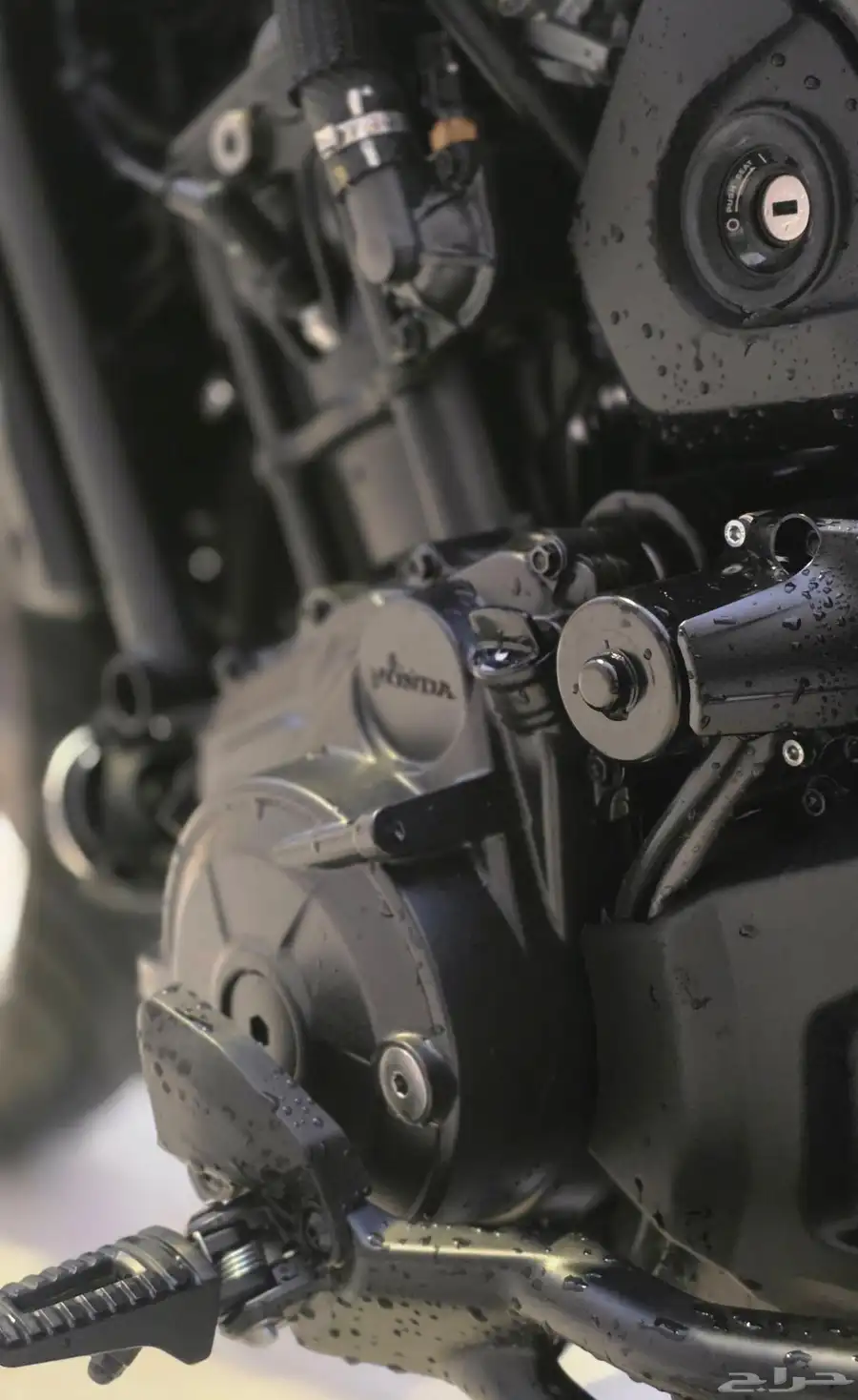 هوندا ريبل 1100cc 2024 T شبه جديد index