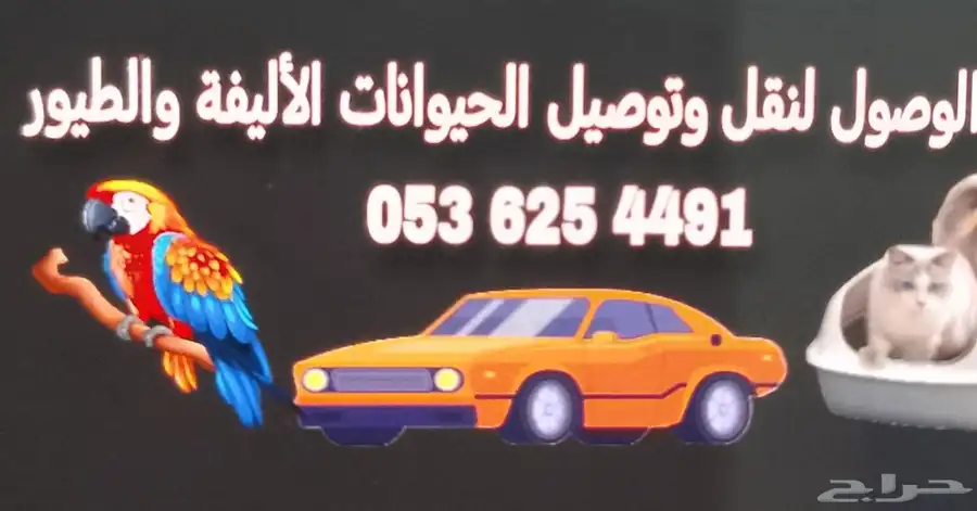 موصل طيور حيوانات اليفه أمانات 8