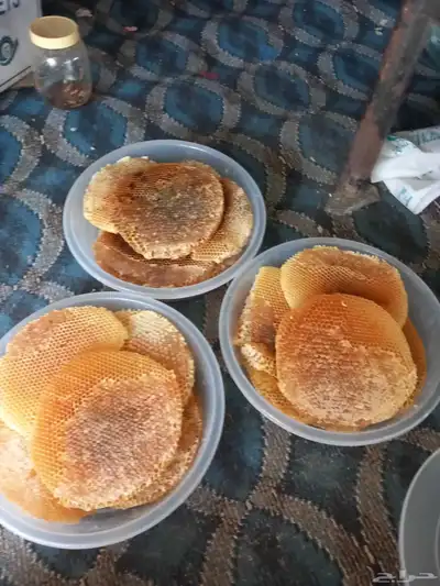 عسل طلح مشاءالله تبارك الله قص اليوم 0