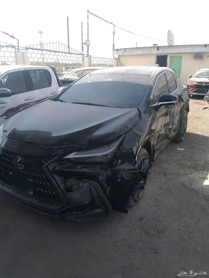 لكزس NX350 موديل 2024 4