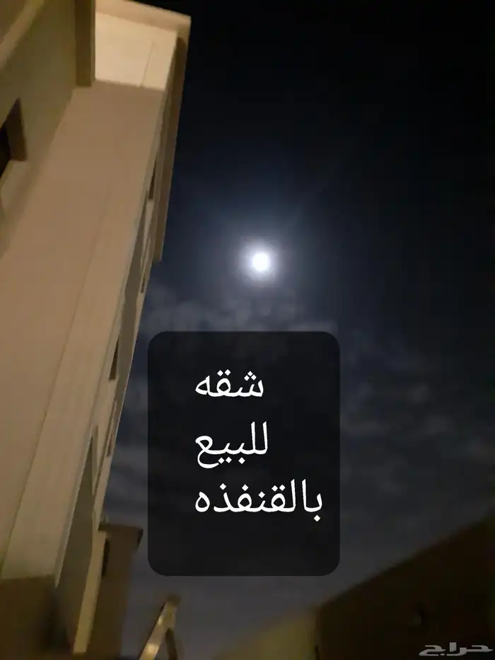 القنفذه اثاث 0