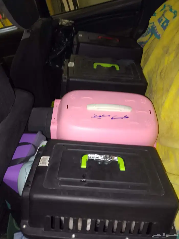 موصل طيور حيوانات اليفه أمانات 4