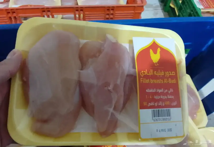 صدور فيليه دجاج طازج مبرد مطاعم يومي 1