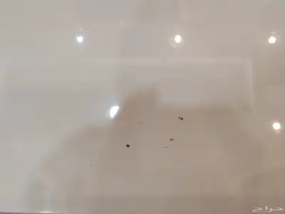 طاوله العرض 120 3