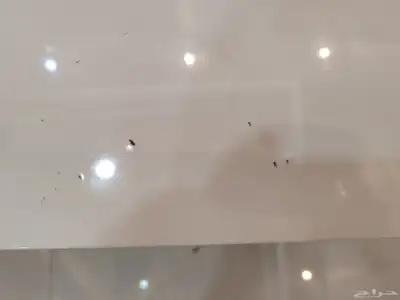 طاوله العرض 120 2