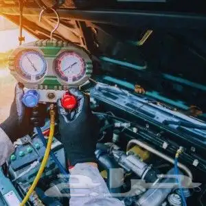 تعبات فريون دينه index