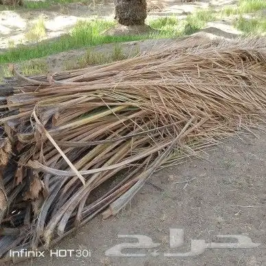 سعف نخل للبيع 6