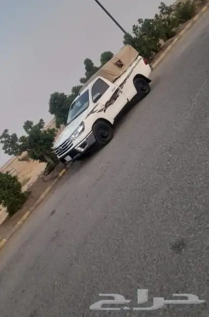 نقل وتوصيل الأغنام 0