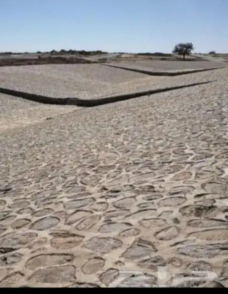 بوكلين للايجار ومباني حجر بالبوكلين وبل ليد وربراب وقص الراض 6