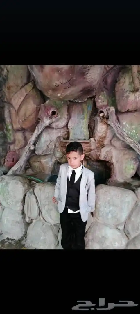 كرينات ايجار شهري 4